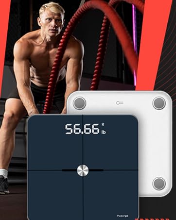 scale for body weight