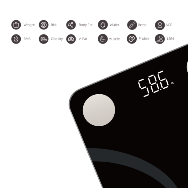 glucology body fat weigh scale